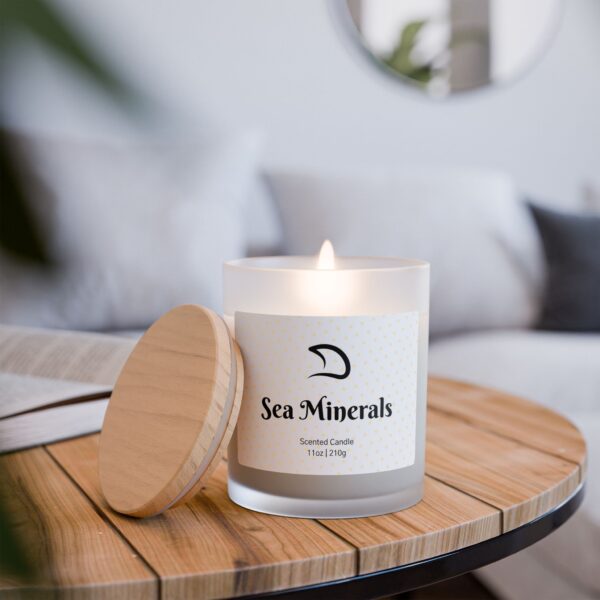 Vegan Scented Candles by DYNACEPO - 11oz